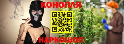 spice Краснознаменск